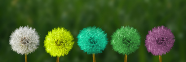 Osmosis launch Resource Efficient European Equities Fund Osmosis launch Resource Efficient European Equities Fund