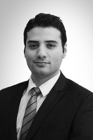 Elie Salman, CFA, FRM Elie Salman, CFA, FRM