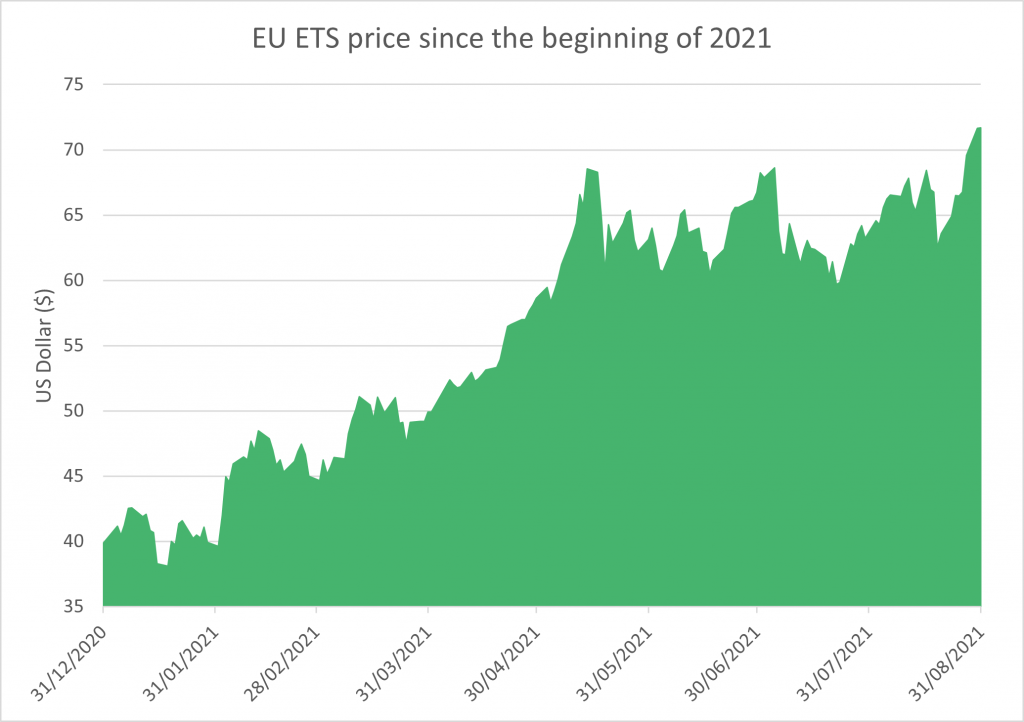 The Cost of Carbon through the Resource Efficiency Lens