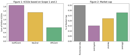 The Cost of Carbon through the Resource Efficiency Lens