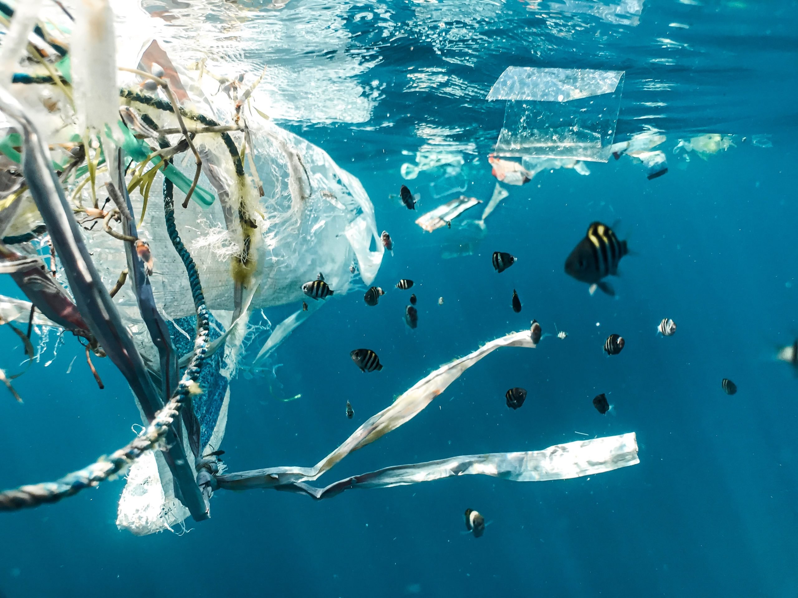 Responsible Investing shouldn't cost the earth Responsible Investing shouldn't cost the earth