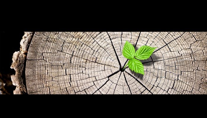 Osmosis launch Total Return Swaps program on its Resource Efficient Core Equity Index Osmosis launch Total Return Swaps program on its Resource Efficient Core Equity Index
