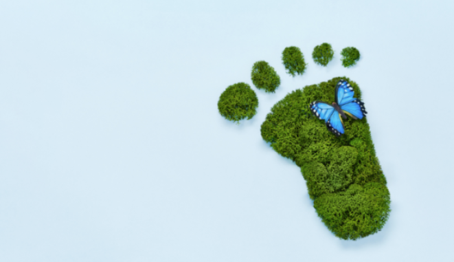 Evans and Partners selects Osmosis for ex-Fossil Fuels Fund* Evans and Partners selects Osmosis for ex-Fossil Fuels Fund*