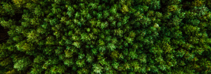 The Model of Resource Efficiency