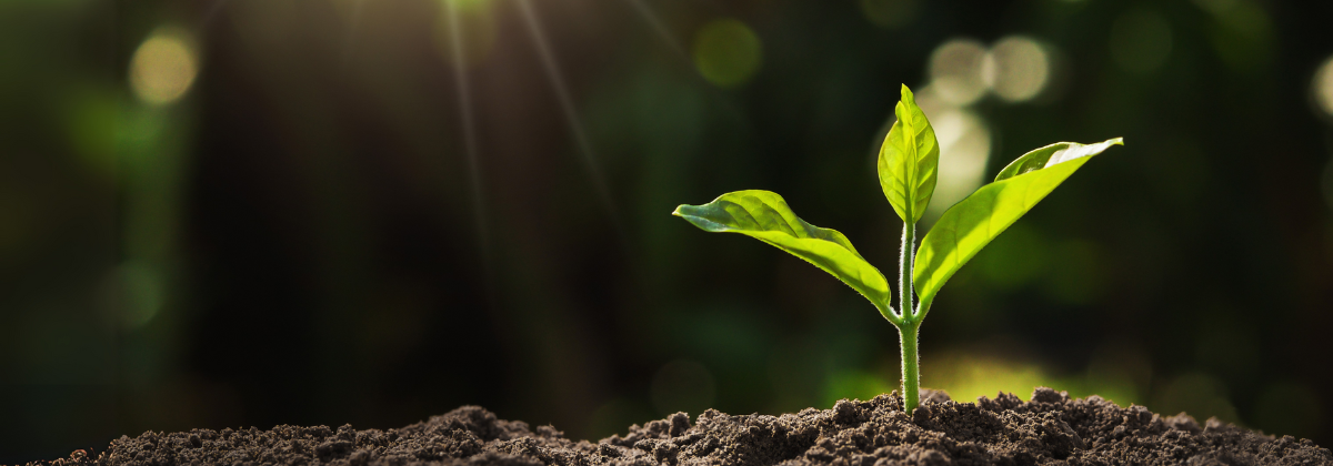 Osmosis Unveils Sustainable Credit Solutions to Meet Growing Investor Demand