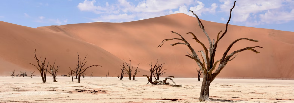 Osmosis IM Osmosis IM